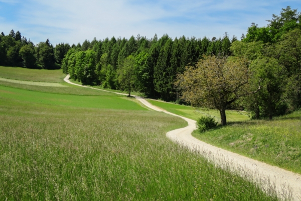 Wildes Kleinod am Wannenberg