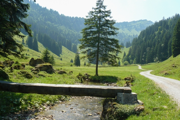 Le marais de la Wolzenalp