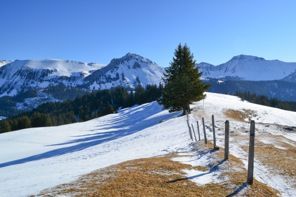 Un sommet des Préalpes fribourgeoises