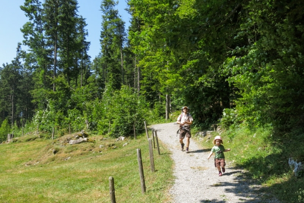 Dem Brünig entgegen