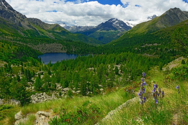 Un paradis floral tout près de la frontière