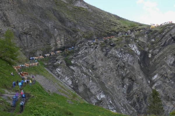 Am Wasserfall vorbei auf die Engstligenalp