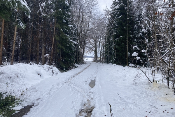 Mostindien im Winterkleid