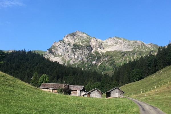 Bergfrühling in der Brosmatt oberhalb von Giswil