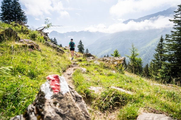 Wanderung vom Col du Pillon an den Arnensee