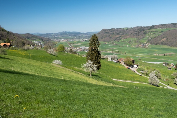 Lungo il sentiero alto della valle della Gürbe