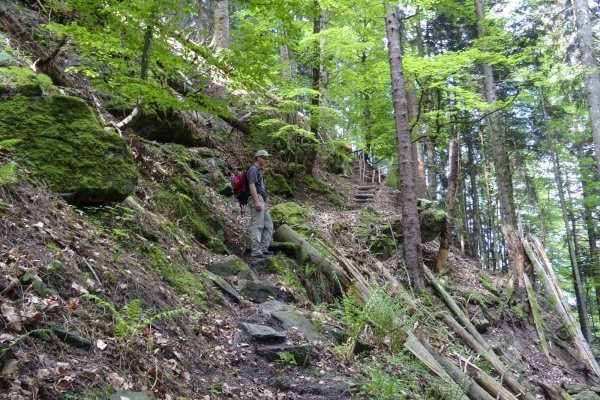 Aussichtsreiche Höhen in den Freiburger Voralpen