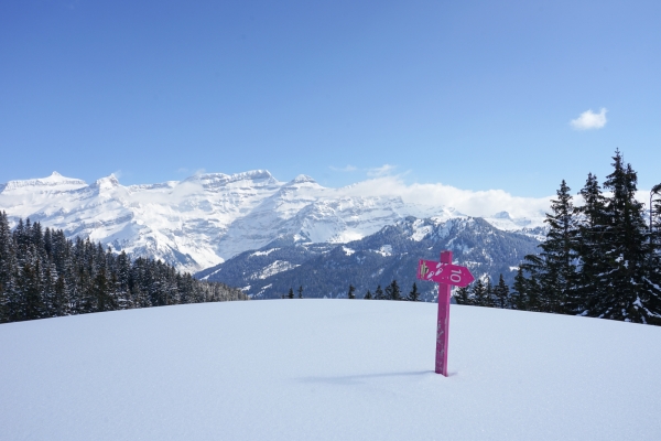 Sonniger Col des Mosses