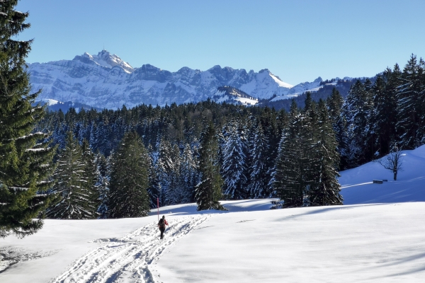 Gesperrt: Schneeschuhrunde im Toggenburg