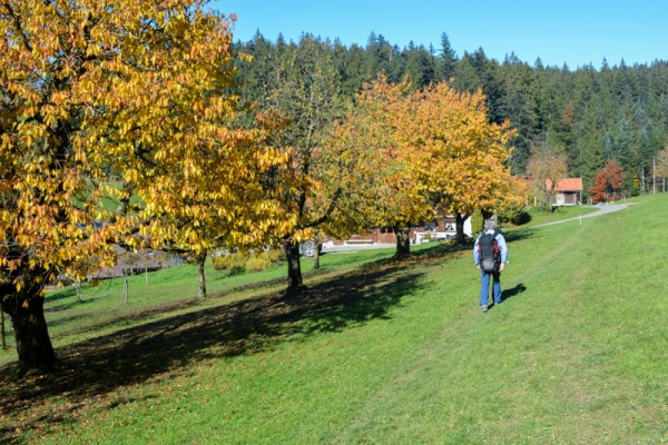 Herbstwanderung über die Muetegg 