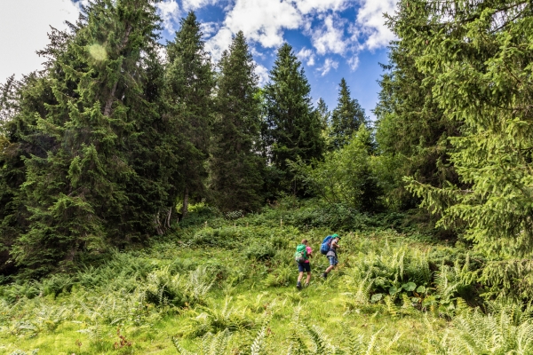 Sanfte Höhenwanderung