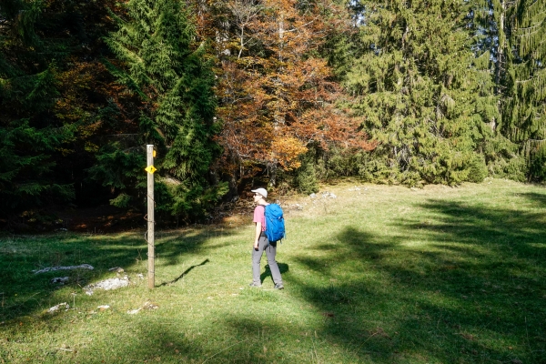 Le Jura entre Sonvilier et Le Noirmont