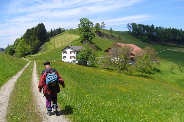 Tannzapfenweg