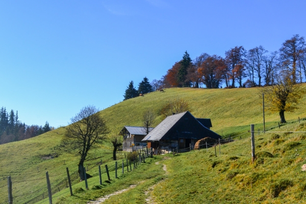 L’Emmental sous son plus beau jour