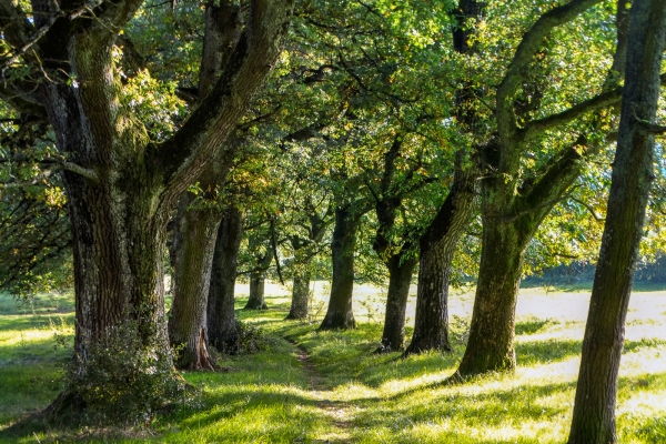 Fino al punto più alto di Delémont