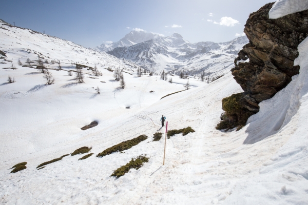 Mit Schneeschuhen auf dem Simplon