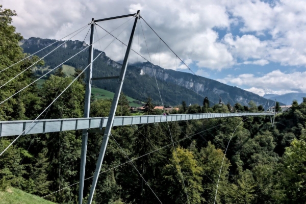 Frühlings-Panoramawanderung am Thunersee