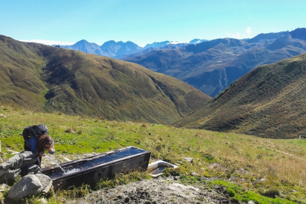 Au-delà de la forêt 