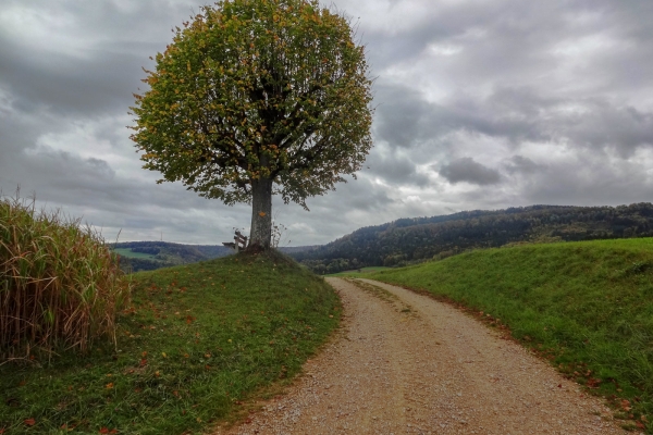 Dans le parc naturel du Jura argovien