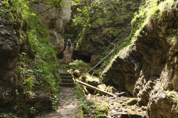 Dem Absinth auf der Spur im Val de Travers