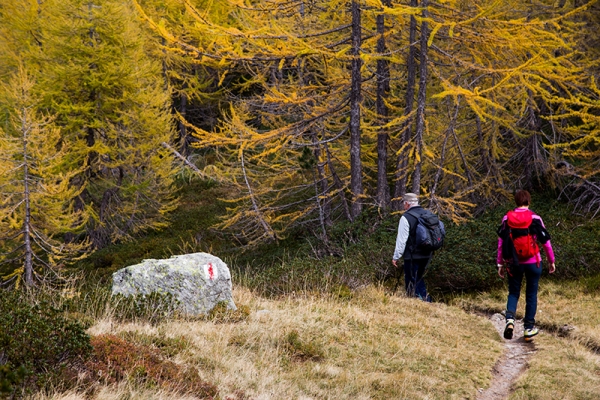 Hochalpine Passlandschaft am Lukmanier