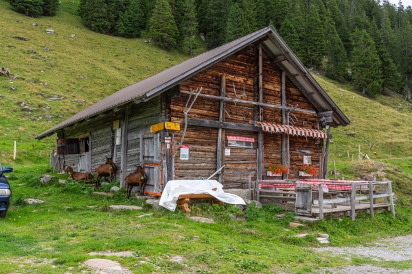 Douce randonnée d’altitude