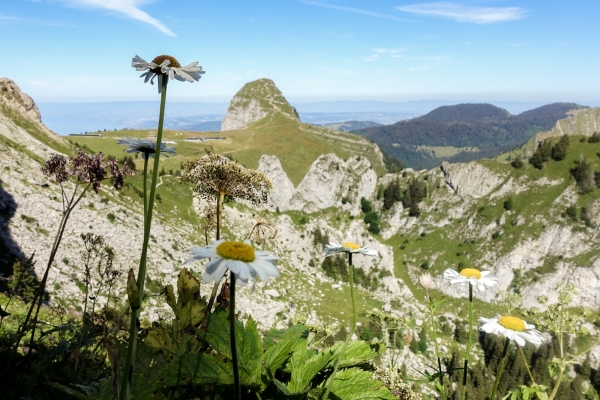 Randonnée panoramique surplombant Fribourg et Vaud