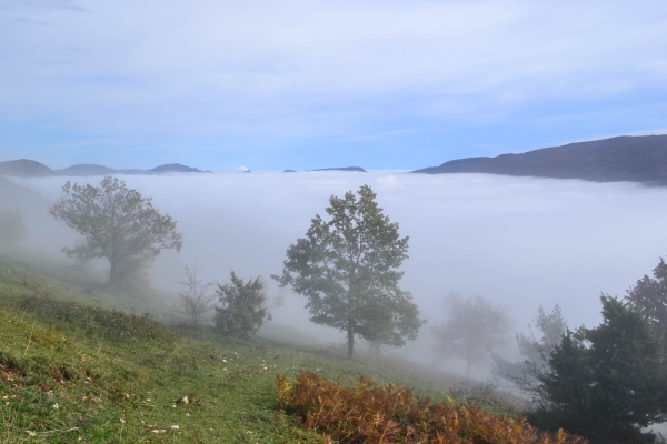 La Wolfsschlucht et le parc naturel de Thal