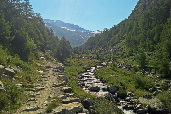 Chemins panoramiques dans la vallée de Saas