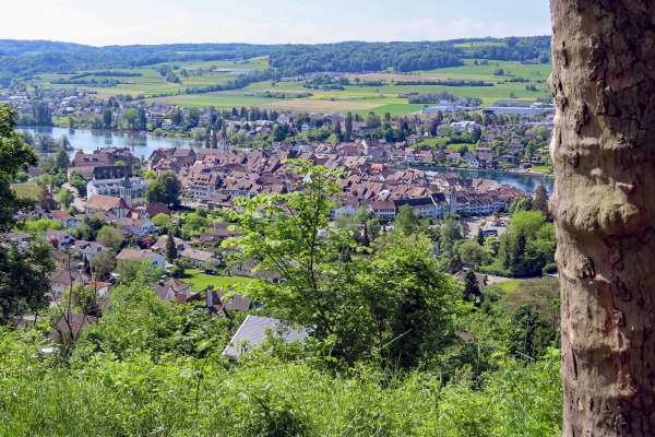 Zur Burg Hohenklingen bei Stein am Rhein