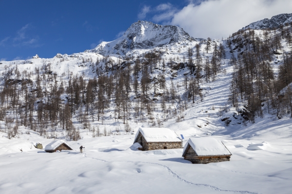 Attraverso la natura selvaggia della Val Lavizzara