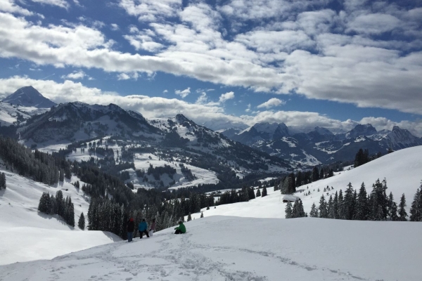 Panoramawanderung über verschneite Hochmoorflächen