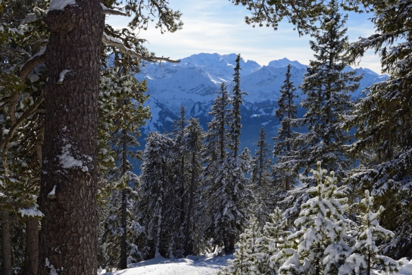 Parcours de raquettes au Niederhorn