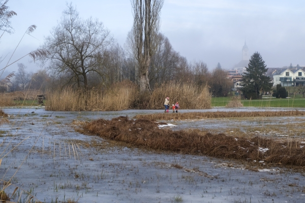 Winterruhe am Hallwilersee