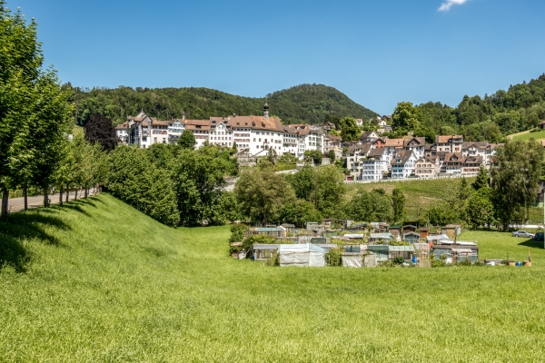 Par monts et vallées dans le Tössbergland 