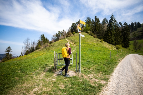 Vom Tösstal aufs Hörnli