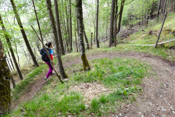 Einzigartige Blütenpracht im Turtmanntal