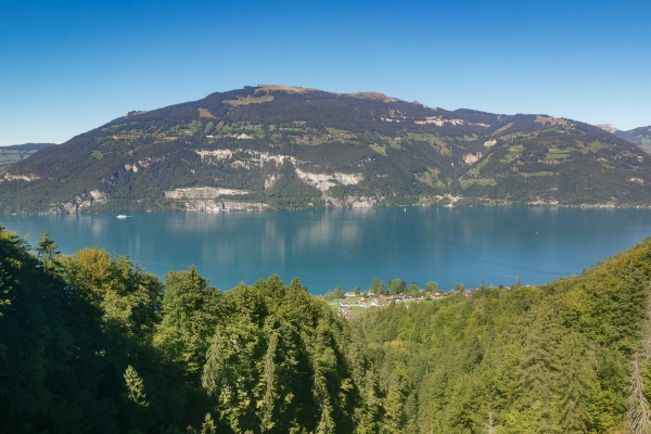 Malerisches Wandern über dem Thunersee