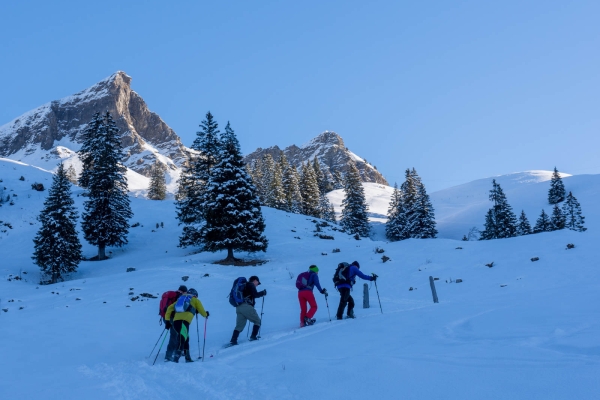 Hospitalité hivernale à Hoch Ybrig