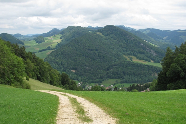 Regennass dans le Jura soleurois