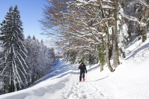 Toute la journée dans la neige 