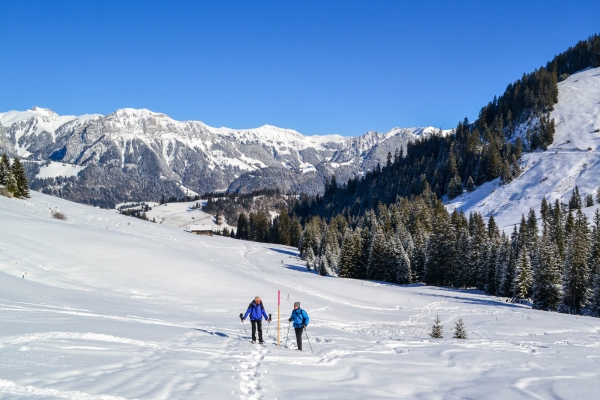 Das Stockhorn im Blick BE