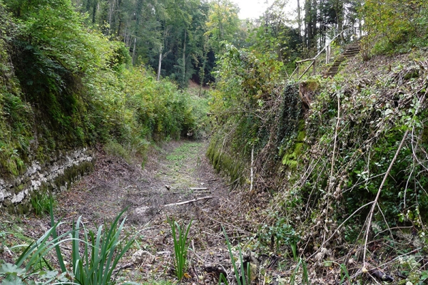 Canal navigable dans la forêt