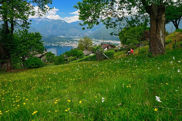 Frühling im Gambarogno 