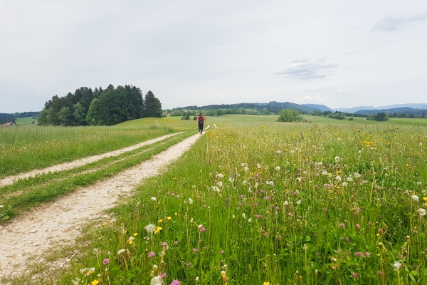 Kraftspender im Berner Jura