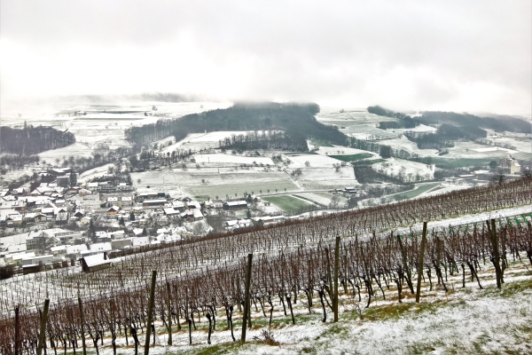 Calme vallée du Schenkenberg