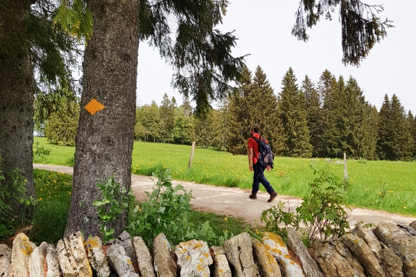 Kraftspender im Berner Jura