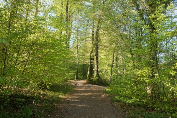 Printemps et rivières 