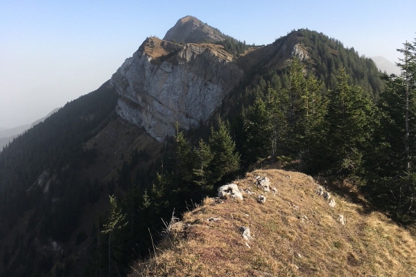 Über den Polenweg und die Stäfelifluh zur Tripolihütte