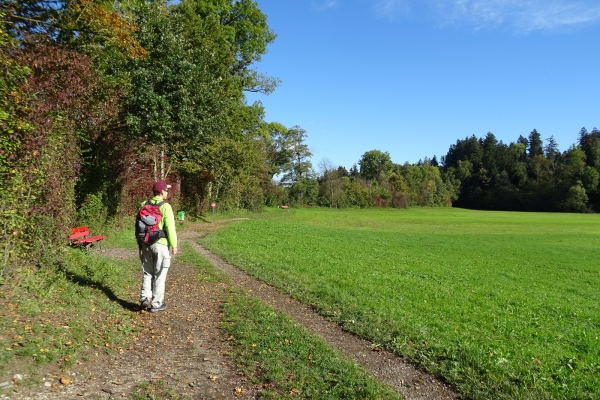 Paisibles paysages du Mittelland